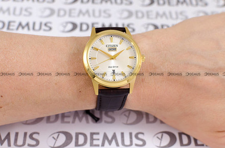 Zegarek Męski Citizen Eco-Drive AW0102-13AC